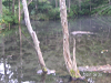s_PICT0375_thumb.png